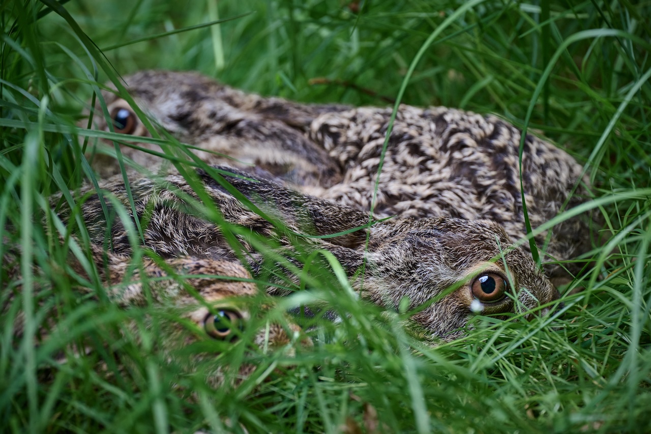 Fourth slide