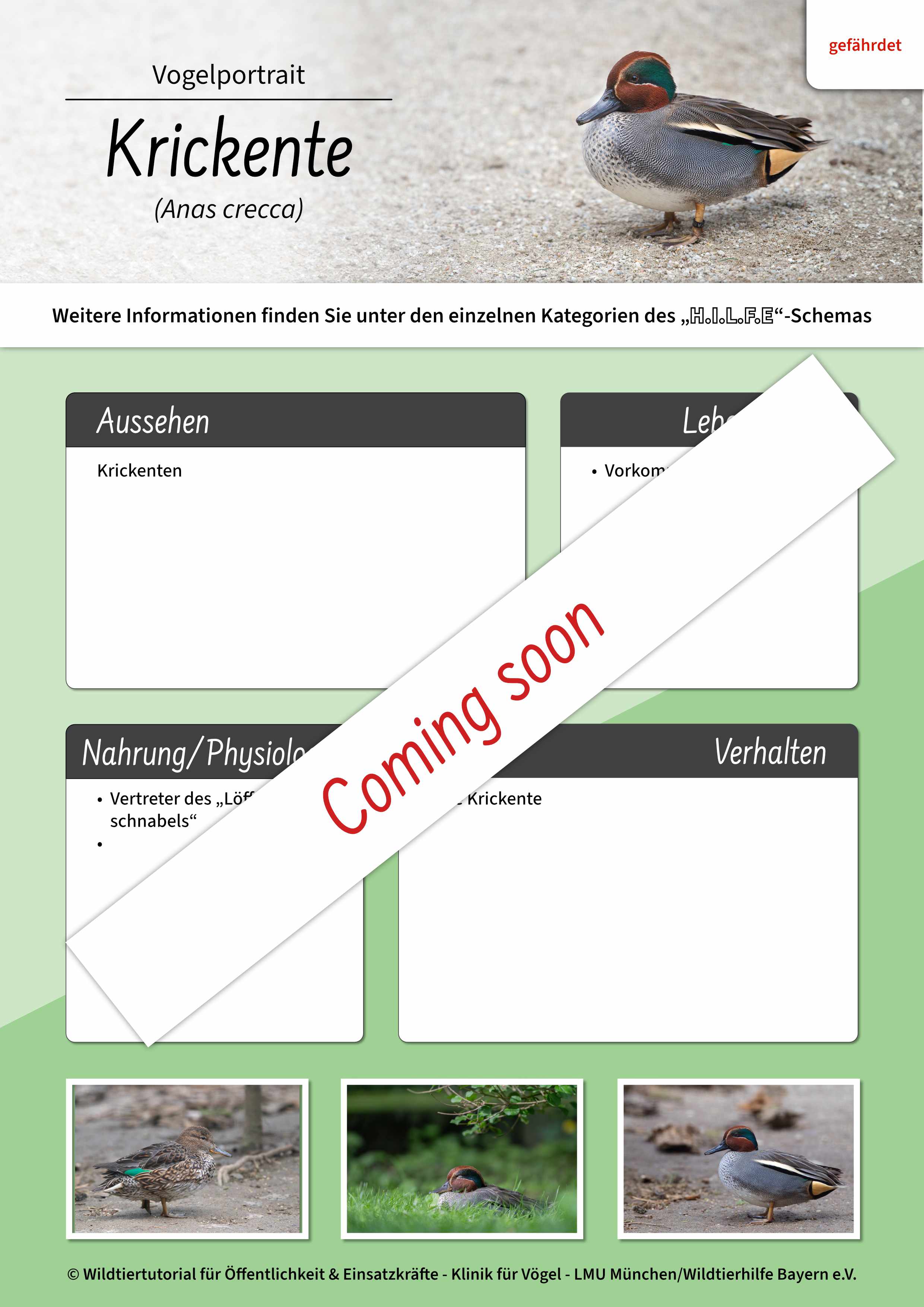 Test.