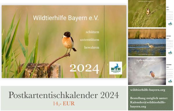 Tierkalender 2024